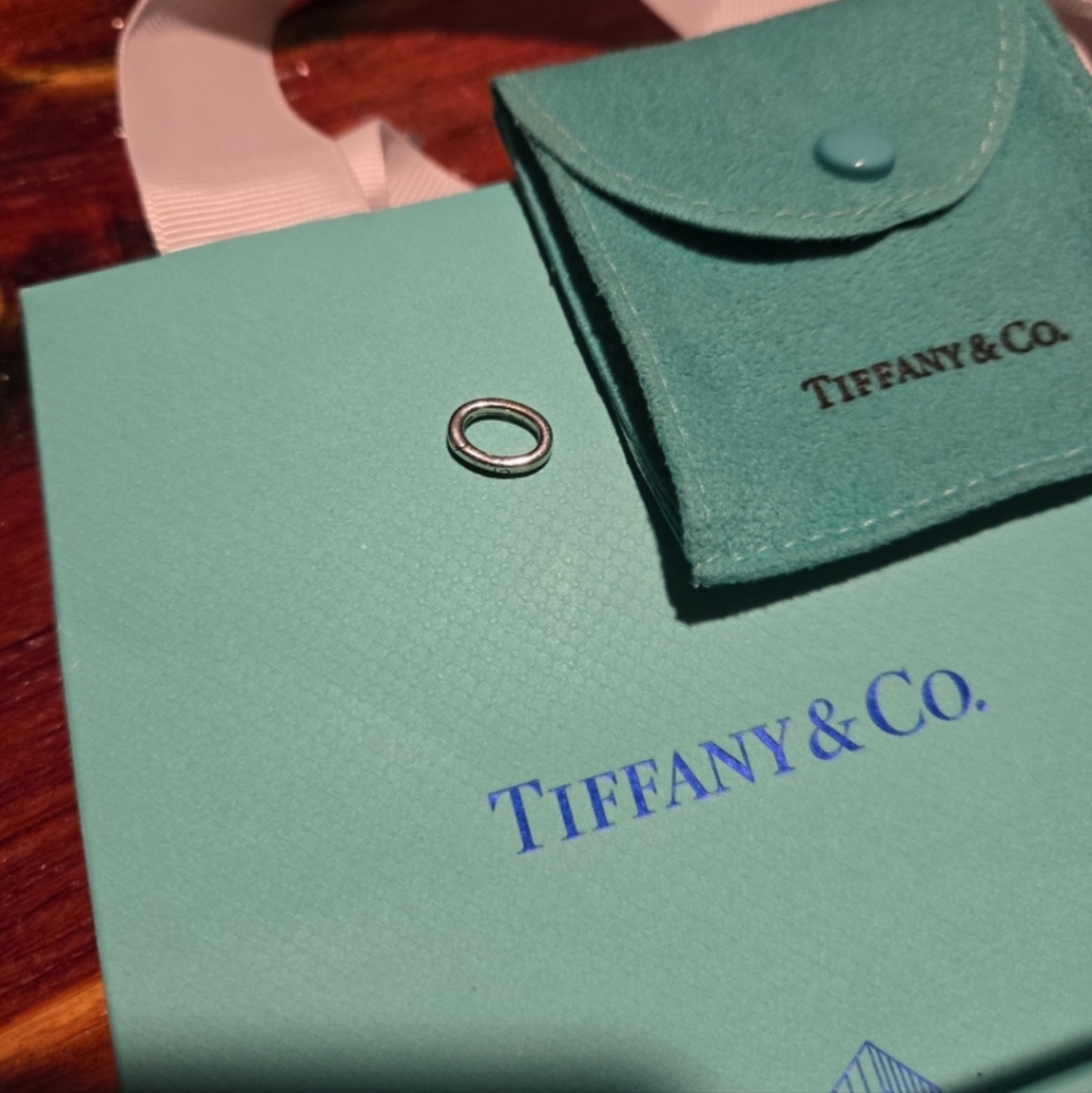 T&Co Clasping Link